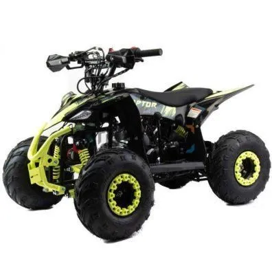 Квадроцикл детский MotoLand (Мотолэнд) VOX110 RAPTOR A (машинокомплект)