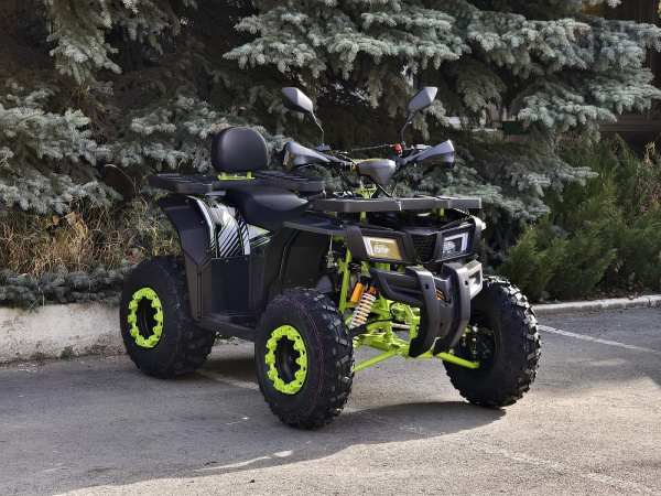 Квадроцикл R - MOTO (Р - Мото) Lion 200Х черный (машинокомплект) | Мототека