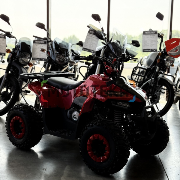 Квадроцикл детский YACOTA (Якота) RAPOSA 110 красный (машинокомплект) | Мототека