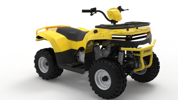 Квадроцикл IRBIS (Ирбис) ATV 250 2024 зелёный с ПСМ | Мототека